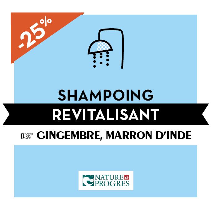 Odoo- Echantillon n° 3 pour trois colonnes