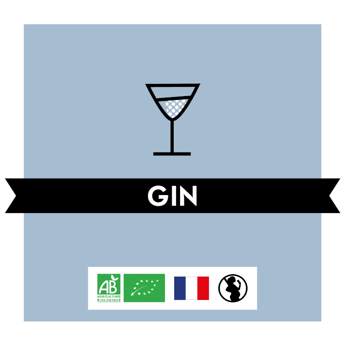 Gin Biologique 40% - Bio - BIDON 5L
