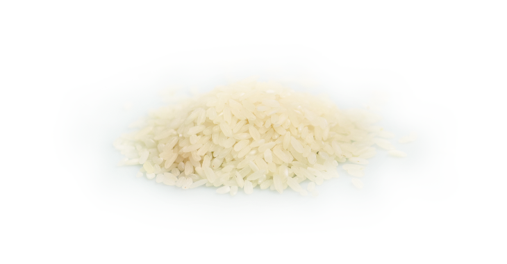 Riz grain long blanc - Bio - 10kg