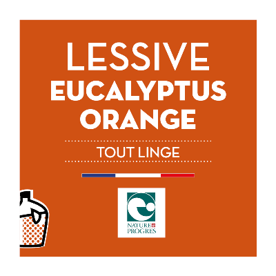 [JB0538BIB10] Lessive liquide - Tout linge - Eucalyptus &amp; Orange - Nature &amp; Progrès SAVONS ARTHUR - BIB10L