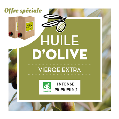 [2JB0042BIB10] Lot de 2 x BIB10L Huile d'Olive Vierge Extra (intense) - Bio - Espagne